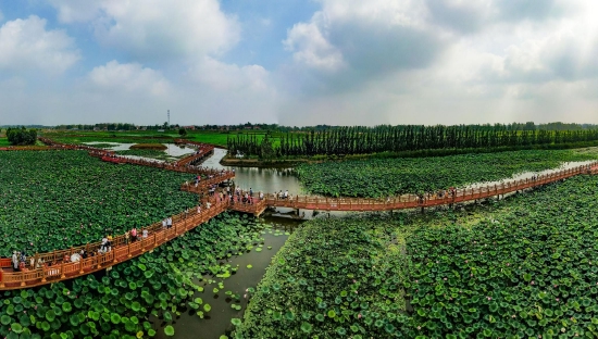 （菏澤市曹縣黃河故道濕地風(fēng)景區(qū)。圖片來(lái)源：菏澤市攝影家協(xié)會(huì)）